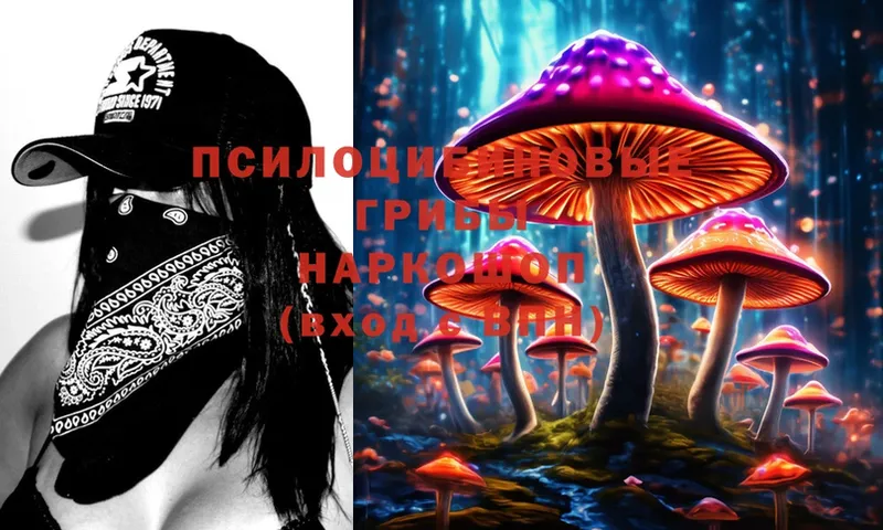 Галлюциногенные грибы Magic Shrooms  маркетплейс как зайти  Урюпинск 