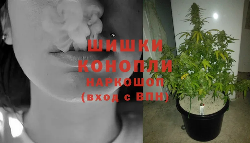 Канабис THC 21%  Урюпинск 